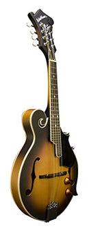 Washburn Mandolin Pack with Spruce Top - Sunburst - Lightly Used