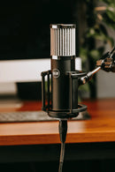 512 Audio SKYLIGHT Large-Diaphragm Studio Condenser Xlr Microphone