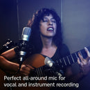 Tascam Tascam TM-80 Studio Condenser Microphone